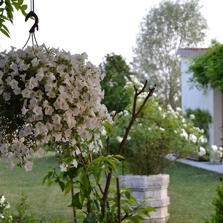 Vila Two Elegant Depandance Conscio Exteriér fotografie